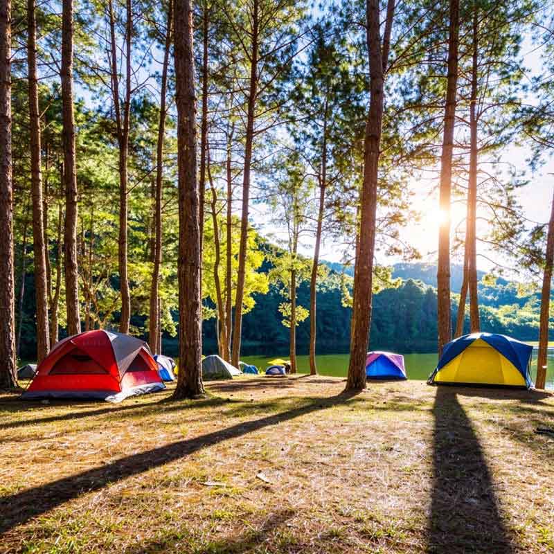 Articles de camping